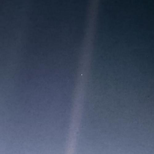 สิ่งมีชีวิตจากดาวโลก