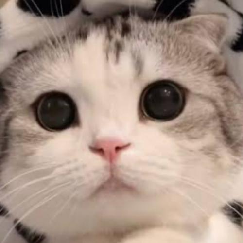 สมาชิกหมายเลข 3904042