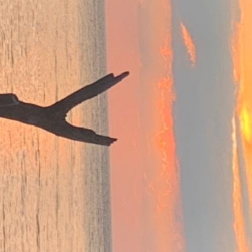 สมาชิกหมายเลข 7263857