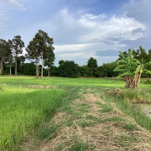 สมาชิกหมายเลข 7264531