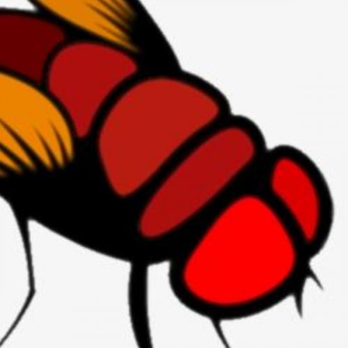 สมาชิกหมายเลข 4297842