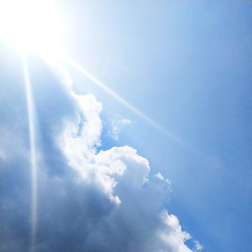 สมาชิกหมายเลข 6393639