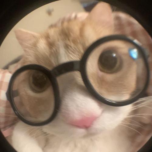 สมาชิกหมายเลข 8058165