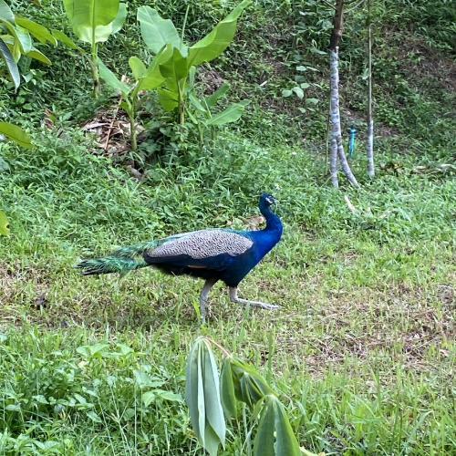 สมาชิกหมายเลข 9026542