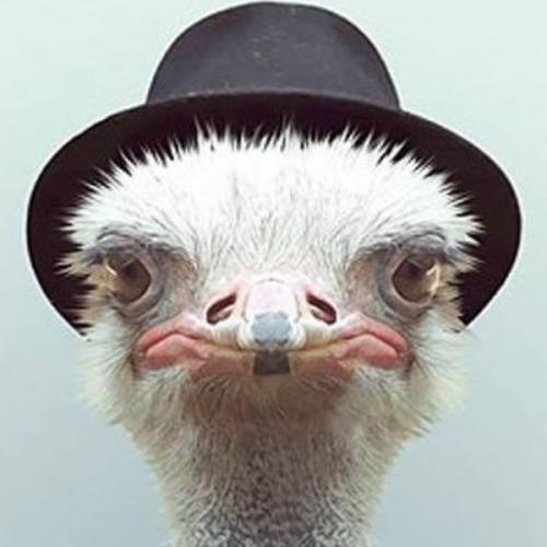 สมาชิกหมายเลข 9107493