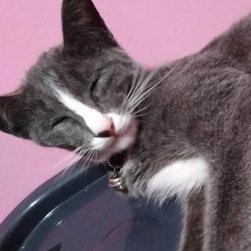 สมาชิกหมายเลข 5030560