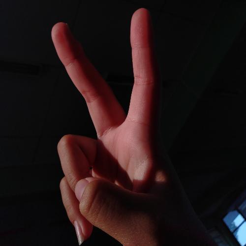 สมาชิกหมายเลข 5032396