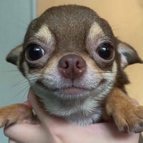 สมาชิกหมายเลข 5425019