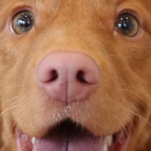 สมาชิกหมายเลข 1598163