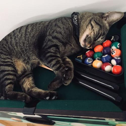 สมาชิกหมายเลข 4750717