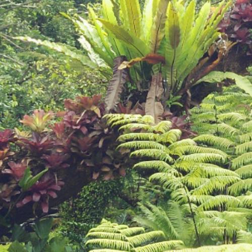 สมาชิกหมายเลข 6528700