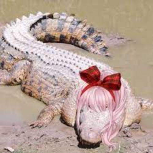 สมาชิกหมายเลข 6543600