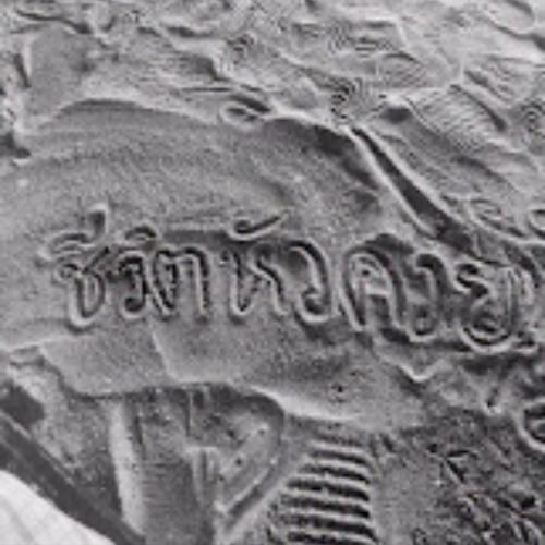 สมาชิกหมายเลข 8247340