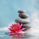 สมาชิกหมายเลข 3823566