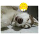 สมาชิกหมายเลข 1537793