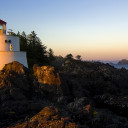 สมาชิกหมายเลข 4244632