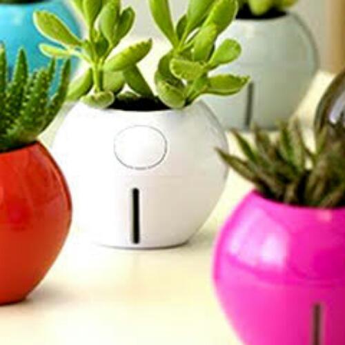 สมาชิกหมายเลข 4669446