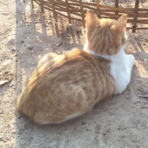 สมาชิกหมายเลข 5939377