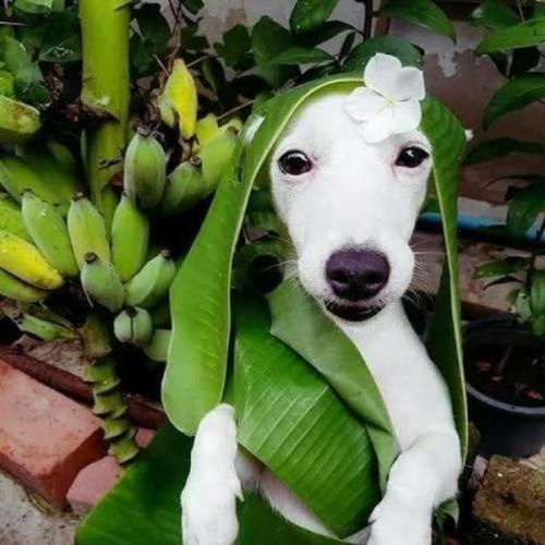 สมาชิกหมายเลข 5939553