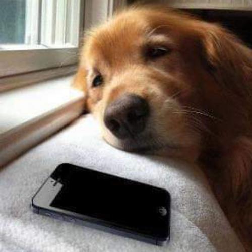 สมาชิกหมายเลข 6536999