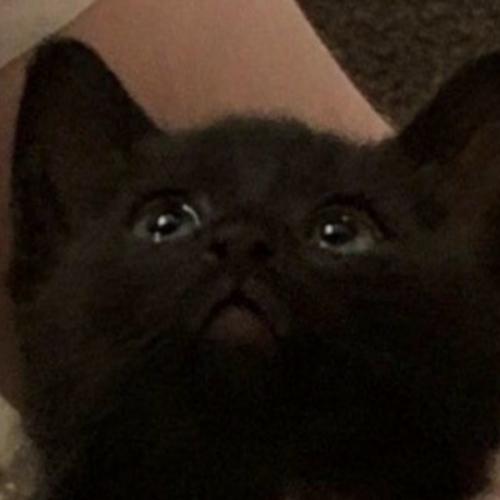 สมาชิกหมายเลข 7265654