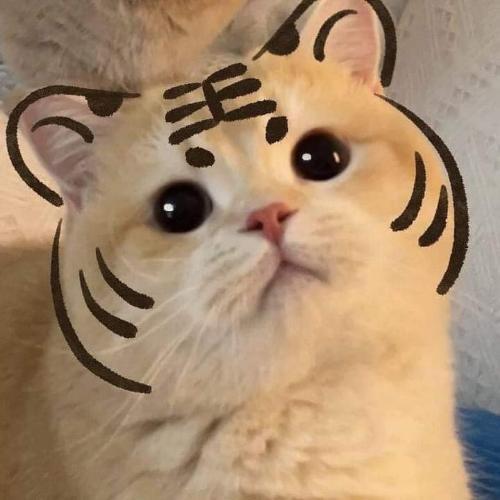 สมาชิกหมายเลข 7265805