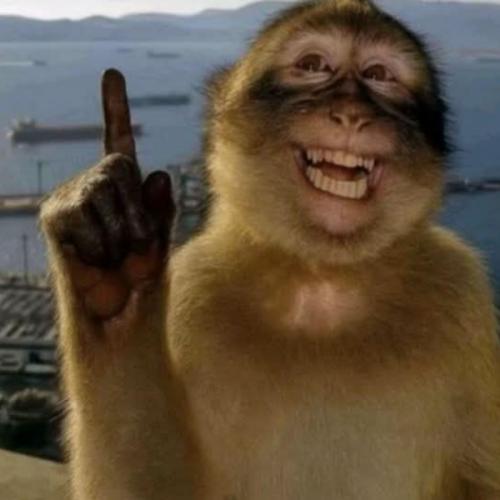 สมาชิกหมายเลข 8119809