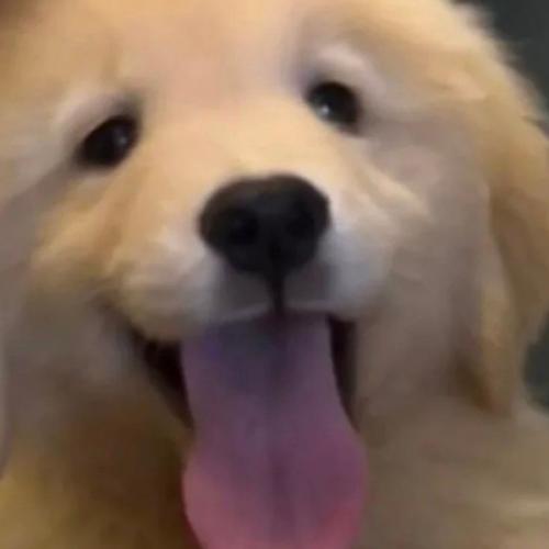 สมาชิกหมายเลข 9082454