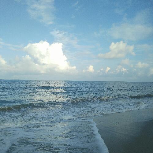 สมาชิกหมายเลข 4289591