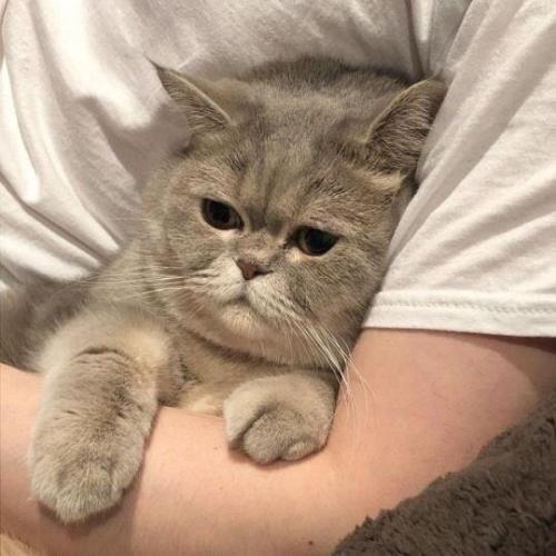 สมาชิกหมายเลข 4869993