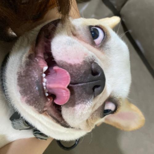 สมาชิกหมายเลข 2776657