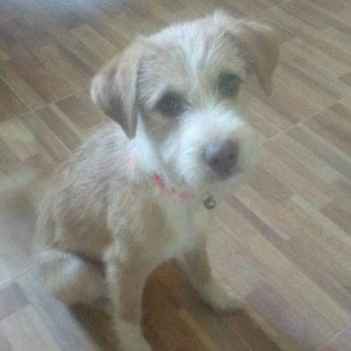 สมาชิกหมายเลข 2944988