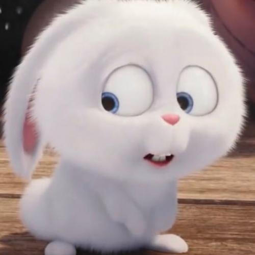 สมาชิกหมายเลข 5939323