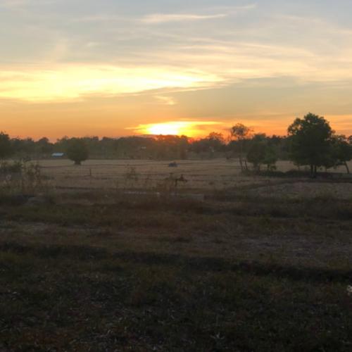 สมาชิกหมายเลข 5940304