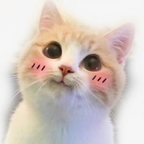 สมาชิกหมายเลข 5940424