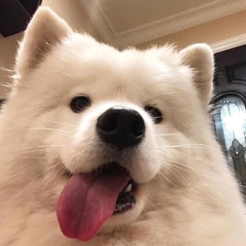 สมาชิกหมายเลข 5987637