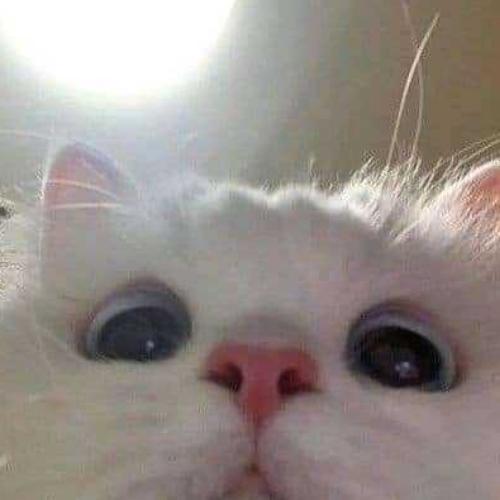 สมาชิกหมายเลข 6544486