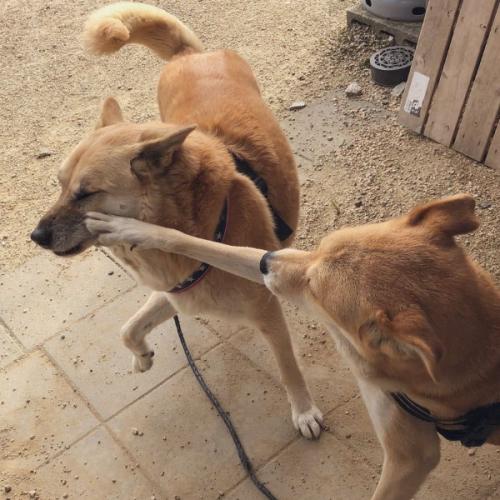 สมาชิกหมายเลข 6544506