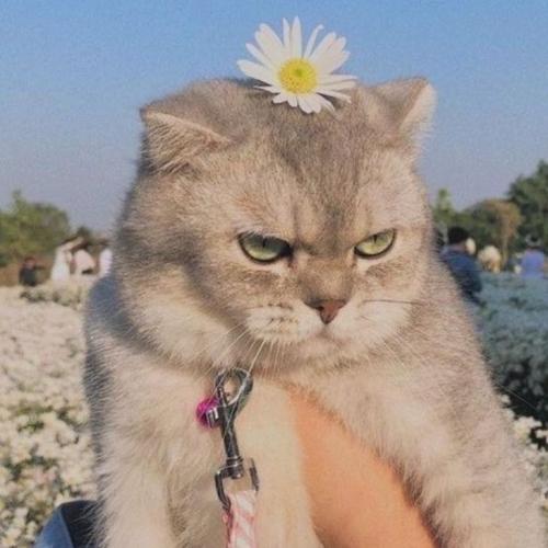 สมาชิกหมายเลข 5104058