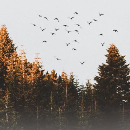 สมาชิกหมายเลข 1458211