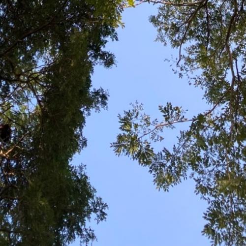 สมาชิกหมายเลข 6584094