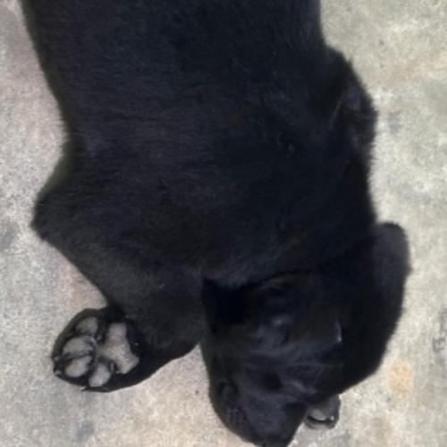 สมาชิกหมายเลข 9091492