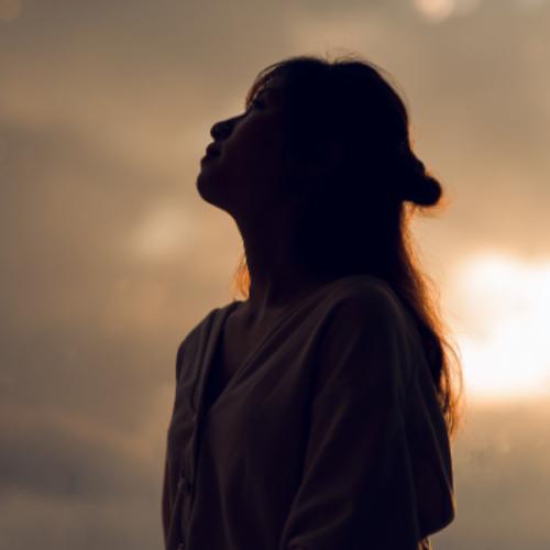 สมาชิกหมายเลข 9110383