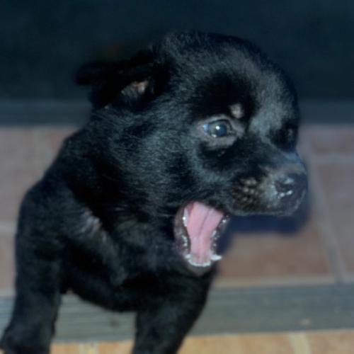 สมาชิกหมายเลข 9111121