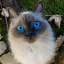 สมาชิกหมายเลข 4670042