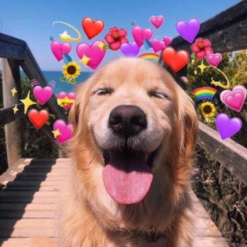 สมาชิกหมายเลข 5425952