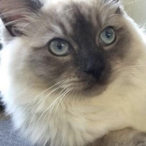 สมาชิกหมายเลข 5060906