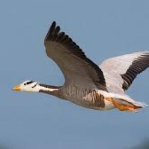 สมาชิกหมายเลข 6543813