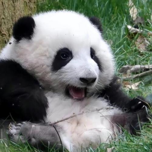 สมาชิกหมายเลข 5326138