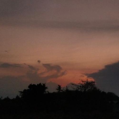 สมาชิกหมายเลข 7600376